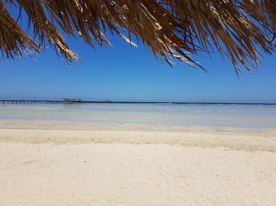 ANDIAMO INSIEME A MARSA ALAM!